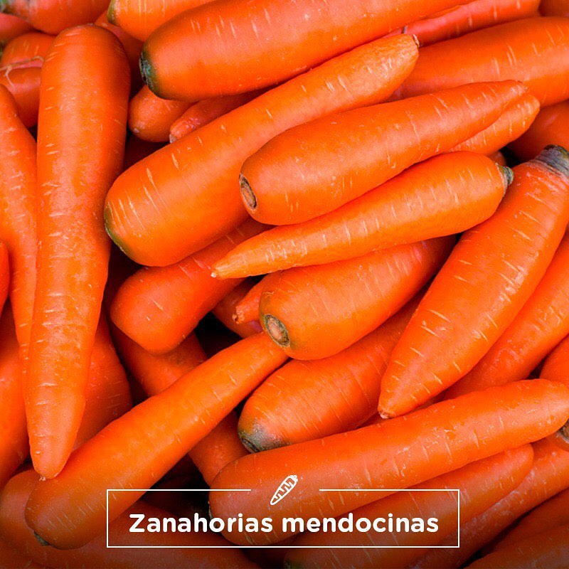 MENDOZA, PRINCIPAL PRODUCTORA DE ZANAHORIA