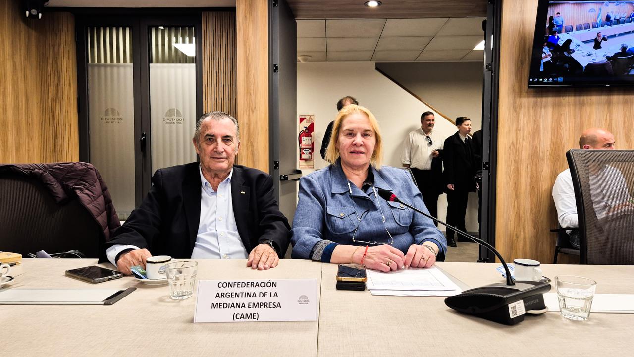 CLAUDIA FERNÁNDEZ PARTICIPÓ DE LA COMISIÓN DE ECONOMÍAS REGIONALES DEL CONGRESO DE LA NACIÓN